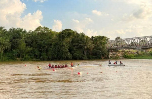 Menjaga Denyut Tradisi, Pacu Sampan Kampar Jadi Simbol Pelestarian Budaya Lokal