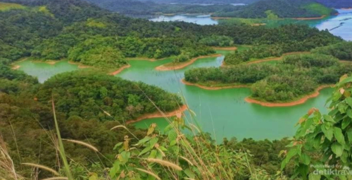 Menjelajah 'Raja Ampat' hingga Candi Tertua, Pesona Kampar yang Siap Mendunia