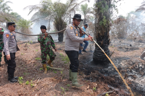Kebakaran Lahan Gambut Seluas 10 Hektar di Kecamatan Tambang, Kapolres Kampar Turun Tangan Pimpin Pemadaman