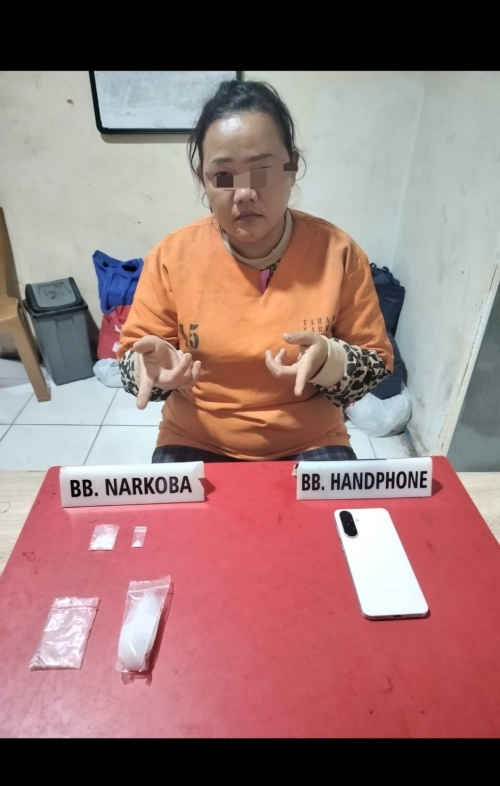 Nyambi Jual Sabu, IRT di Kampar Ditangkap Polisi
