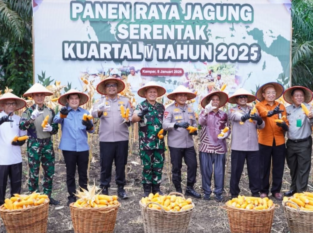 Jaga Ketahanan Pangan, Kapolda Riau dan Pemkab Kampar Panen Jagung Raya