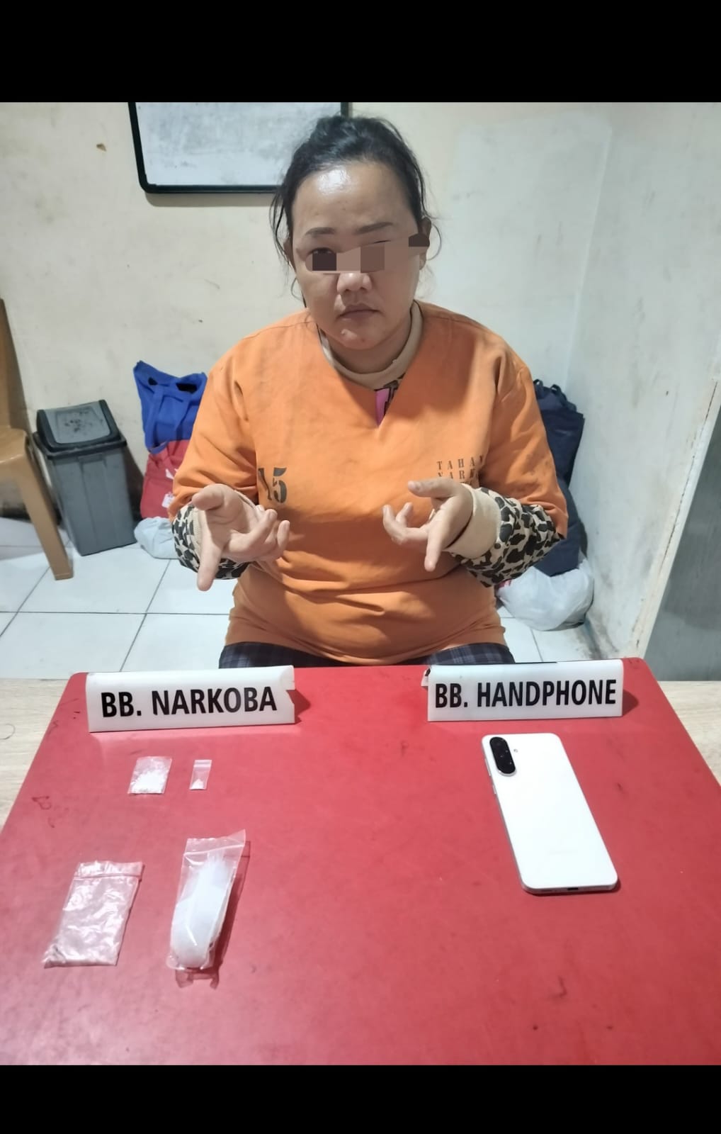 Nyambi Jual Sabu, IRT di Kampar Ditangkap Polisi